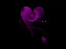 pink heart