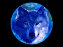 Moon Wolf