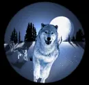 Snow Wolves