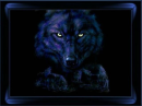 Black Wolf