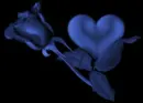 Blue Heart