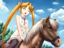 horse