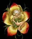 flower fairy