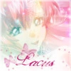 lacus clyne