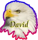 David