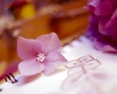 flower pics
