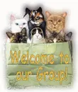 Welcome to the Group