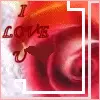 i love u