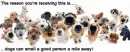 Dogs smelling out good people