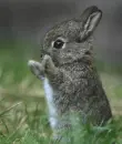 hug me