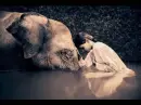 Dream