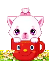 pink kitty in a cup
