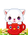 kitty in a red cup