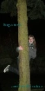 hug a tree