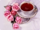 pink roses