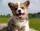 You Makes Me Yawn