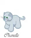 Chanelle webkinz