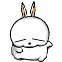 bunny