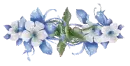 blue flowers
