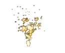fire works
