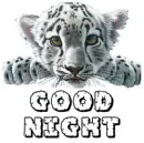 Good Night