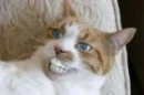 Smil!