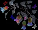 bell flowers