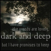 The woods