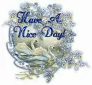 nice day