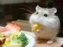 yummy!