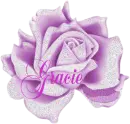 Gracie