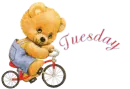 bear