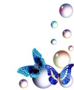 blue butterfly