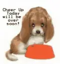 cheer-up