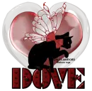 dove