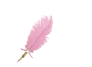 Feather Pen Light Pink - Robin