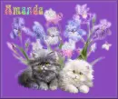Cats with Orchids Tag - Amanda