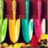 Rainbow!