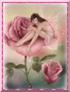 Rose fairy