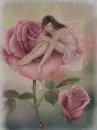 Rose fairy in the rain