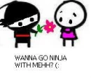 ninja