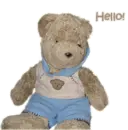 Teddy Hello