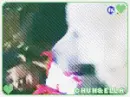 chun fall to ella