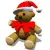 sweet bear