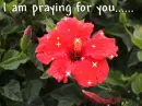 I am praying for you