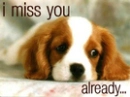 i miss you