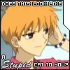 Stupid Cat