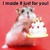 Hamster