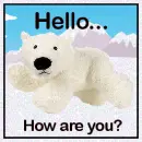 Hello... How are you?