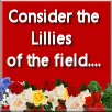 Consider the Lillies of the Field